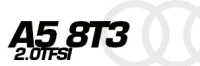 A5 8T3 2.0TFSI